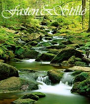 www.Fasten-und-Stille.de