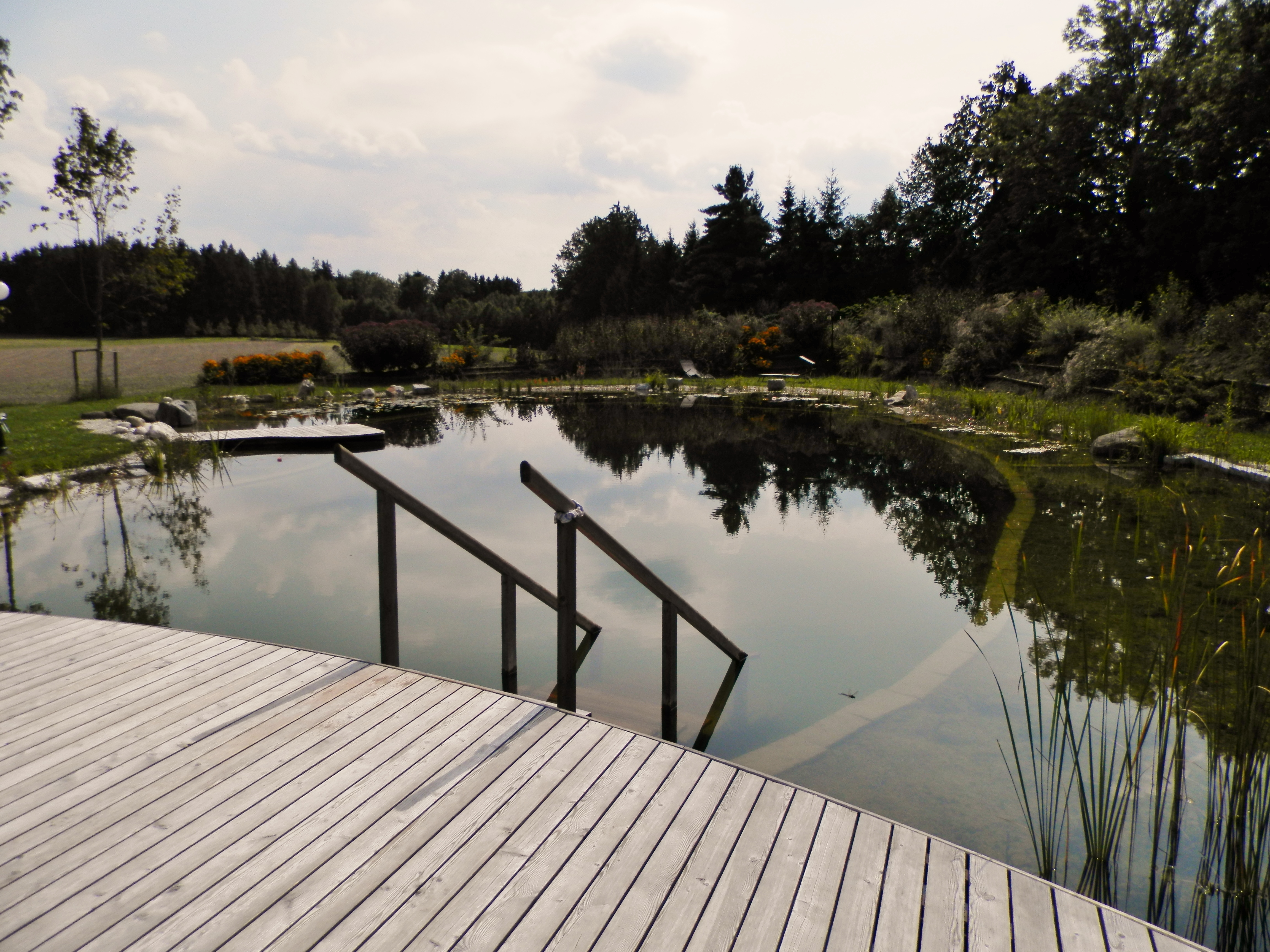 Natur-Bade-See am Seminarhof Schleglberg